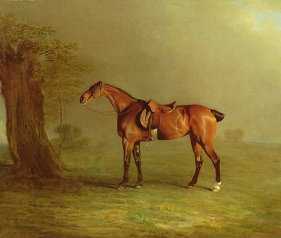 Racehorse by Benjamin Marshall